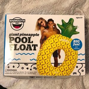 Pineapple Pool/Lake Floaty